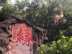 -杭州黄龙洞