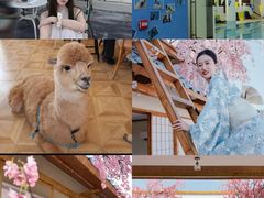 -Blue Concept Cafe&Farm·關於藍