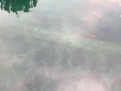 -百脉泉景区