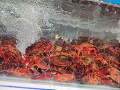 -胖东来生活广场(健康路店)