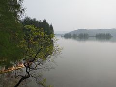 -东湖落雁景区