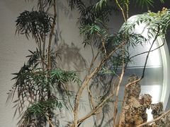 -花间别院(凤凰店)