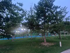 -西海子公园