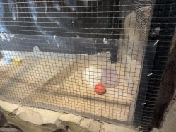 -酷嗒动物文化乐园(cutezoo西溪乐天城店)