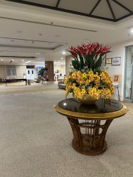 -北京明德医院·医疗美容