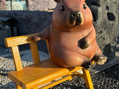 -群生大院(怀柔店)