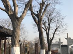 -董永七仙女文化园