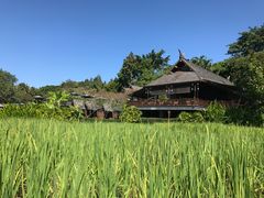 -四季酒店下午茶