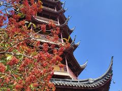-红梅公园