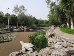 -幕燕滨江·长江观音景区