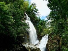 -大围山国家森林公园