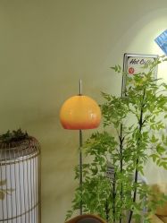 -变美丽半永久纹眉连锁·机器野生眉•洗眉