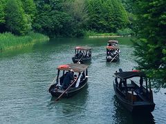 -溱湖国家湿地公园