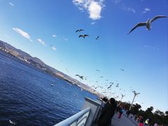 -海埂大坝