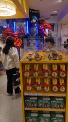 -乐高品牌旗舰店(人民广场店)