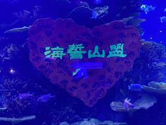 -青岛海底世界-水族馆