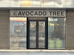 -油梨树 AVOCADO TREE(亮马桥店)