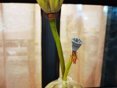 -如禾素食·下午茶·糖水