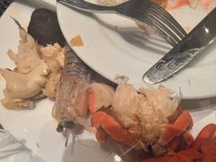 -怡聚轩全日制自助餐厅(大中华喜来登酒店)