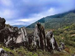 -玉石林风景区