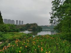 -重庆彩云湖湿地公园