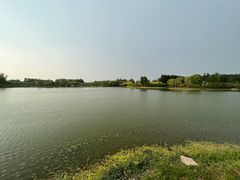 -东郊湿地公园