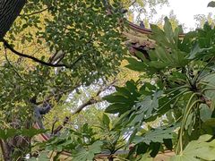 -狼山风景名胜区