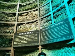 -中国西峡恐龙遗迹园