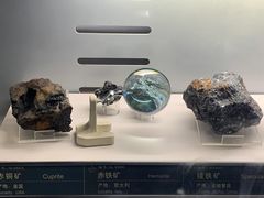 -中国地质博物馆