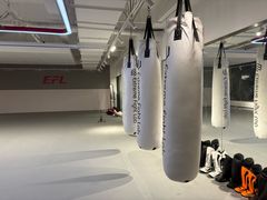 -EFL巴西柔术·综合格斗·泰拳·少儿体能训练(虹桥德必馆)