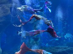 -多彩贵州城极地海洋世界