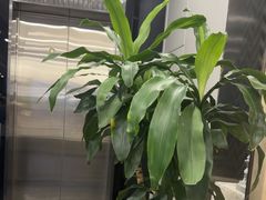 -常熟玉蕙口腔医院