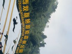 -西双版纳原始森林公园
