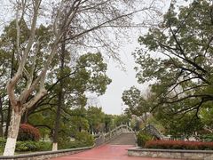 -太子山公园(园东路)