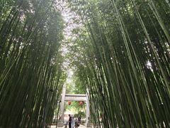 -竹泉村旅游度假区