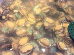 -鼎香缘海鲜自助火锅烤肉(锦辉购物广场店)