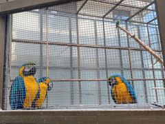 -南宫五洲植物乐园