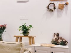 -iF摄影•全家福•证件照•形象照(南山店)