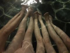 -美的鹭湖森林度假区
