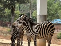 -石家庄市动物园