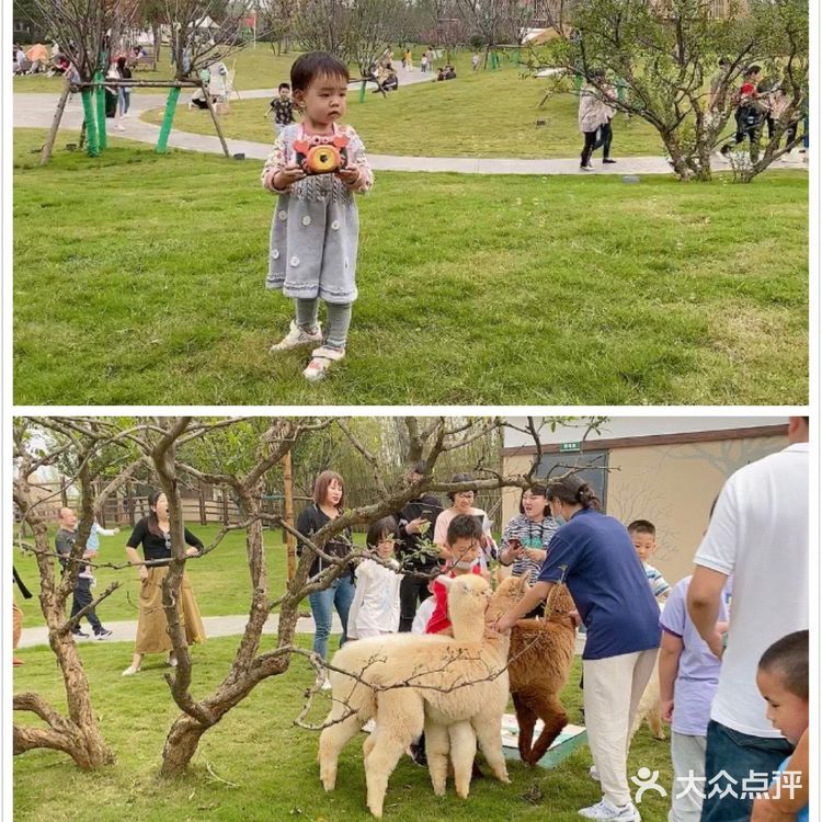 太白山脚下的鹿野仙踪，太白之眼，云尚鹿鲸山居