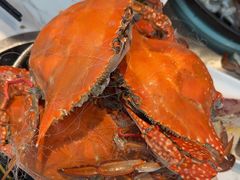 -半岛听涛蒸汽海鲜自助(K11店)