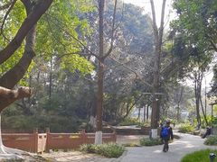 -成都市活水公园