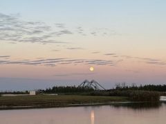 -春花秋色城市公园