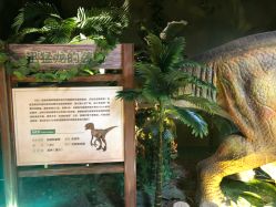 -恐龙探索乐园(磁器口店)