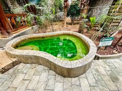 -龙达温泉生态城