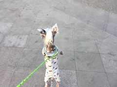 -达爱动物医院·犬猫分区·CT·复杂眼科(远洋山水分院)