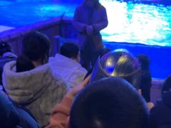 -哈尔滨波塞冬海底世界