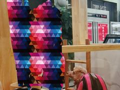 -袁记串串香(北国店)