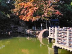 -白马涧龙池景区
